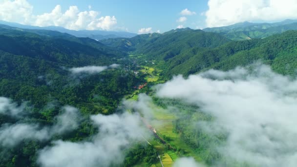 山の熱帯雨林の上を流れる霧の波の空中ビュードローン撮影 雲の上の鳥の目のビュー映像雲と山のピークと素晴らしい自然背景タイ旅行 — ストック動画