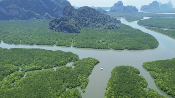 空中风景无人机拍摄的美丽的自然景观森林在早上无人机飞越大海和红树林景观高角度的景观 动态航拍令人惊奇的自然景观 — 图库视频影像