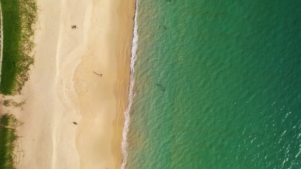 Imágenes Alta Calidad Colorida Playa Del Mar Hermosas Olas Espuma — Vídeos de Stock