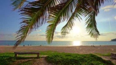 Yaz günbatımı Phuket Tayland sahilinde güzel hindistan cevizi palmiyeleri okyanusta Patong Sahili Palmiyeleri. Plajdaki palmiyeler, beyaz kumlu gökyüzü, yaz manzarası.