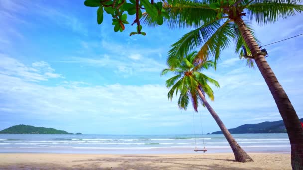 Palme Cocco Sulla Spiaggia Paesaggio Soleggiato Giorno Estate Bel Tempo — Video Stock