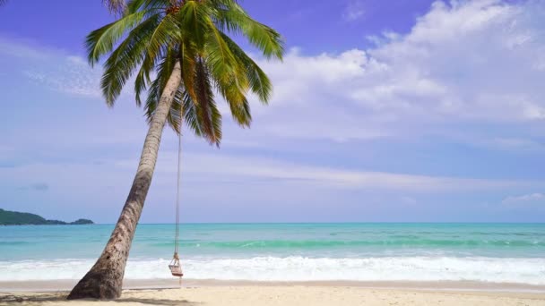 Coco Palmeras Paisaje Playa Soleado Día Verano Buen Tiempo Día — Vídeo de stock