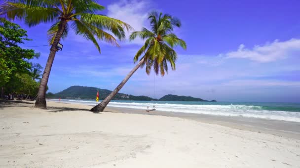 Palme Cocco Sulla Spiaggia Paesaggio Soleggiato Giorno Estate Bel Tempo — Video Stock