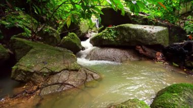 Small waterfall in abundance rainforest 