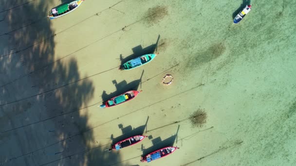 Incrível Antena Visão Superior Barcos Pesca Longtail Mar Tropical Praia — Vídeo de Stock