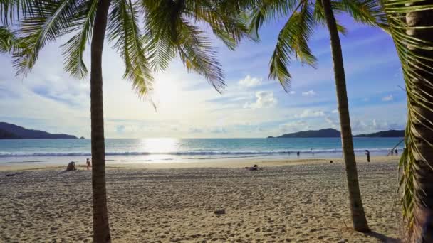 Silueta Kokosové Palmy Krásný Západ Slunce Obloha Nad Mořem Úžasné — Stock video