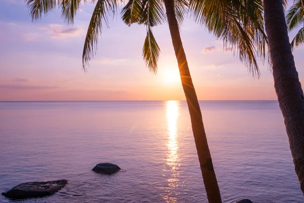 Silhouette Coconut Palm Trees Sunset Sunrise Sky Sea Amazing Light — Stock Photo, Image