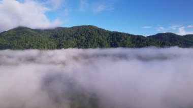 İnsansız hava aracı görüntüsü sis veya sis denizi üzerinde uçuyor. Yüksek açı Dinamik hava görüntüsü. Doğanın muhteşem manzarası.