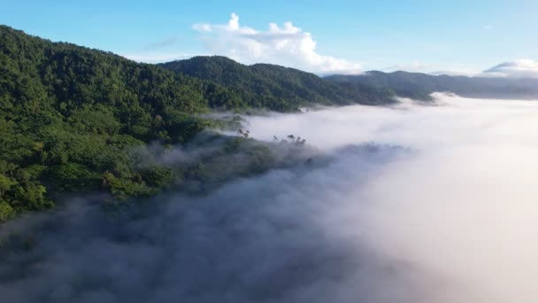 Drone Vista Voando Sobre Mar Névoa Nevoeiro Paisagem Vista Ângulo — Vídeo de Stock
