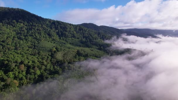 Drone Vista Volando Sobre Mar Niebla Niebla Paisaje Vista Ángulo — Vídeo de stock