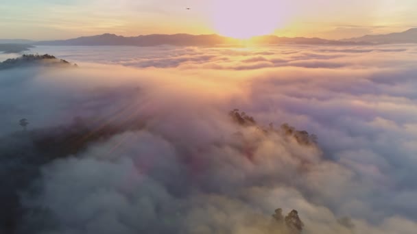 霧や霧の海を飛ぶドローンビュー風景高角度ビューダイナミック空中ショット素晴らしい自然山の景色朝の日の出 タイ旅行や自然環境で美しい日の出空 — ストック動画