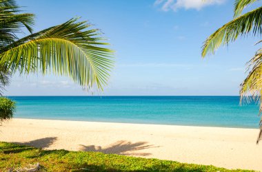 Hindistan cevizi palmiyeleri olan muhteşem Phuket plajı Tayland manzarası kumsal deniz manzarası ve yaz mevsiminde açık mavi gökyüzü Sahil Phuket Tayland