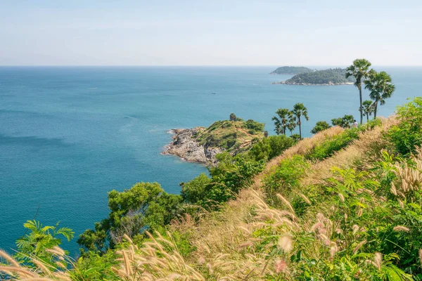 Phuket Isla Cocoteros Palmeras Hierba Primer Plano Hermoso Paisaje Andaman — Foto de Stock