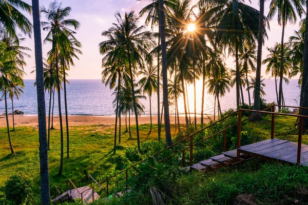 Silueta Kokosové Palmy Krásné Západu Slunce Obloha Nad Mořem Úžasné — Stock fotografie
