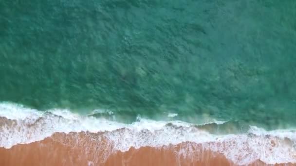 Onde Marine Bella Spiaggia Sabbia Video Alta Qualità Vista Volo — Video Stock