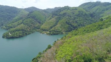 Muhteşem orman. Orman ağaçlarının gökyüzü manzarası. Yağmur ormanları ekosistemi ve sağlıklı çevre arka plan.