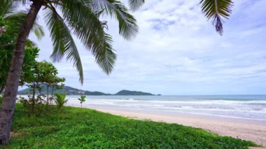 Sahildeki güzel hindistan cevizi palmiyeleri Phuket Tayland, okyanustaki Patong Sahili Palmiyeleri. Plajdaki palmiyeler, beyaz kumlu gökyüzü, yaz manzarası.