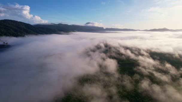 霧や霧の海を飛ぶドローンビュー風景高角度ビューダイナミック空中ショット素晴らしい自然山の景色朝の日の出 タイ旅行や自然環境で美しい日の出空 — ストック動画