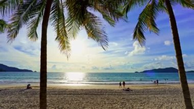 Sahildeki güzel hindistan cevizi palmiyeleri Phuket Tayland, okyanustaki Patong Sahili Palmiyeleri. Plajdaki palmiyeler, beyaz kumlu gökyüzü, yaz manzarası.