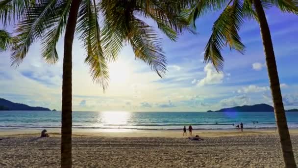 美丽的椰子树在海滩上的普吉泰国 巴东海滩上的棕榈树在海洋上 沙滩上的棕榈树 白沙滩 夕阳西下 夏景背景 — 图库视频影像