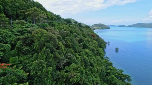 Widok Lotu Ptaka Drzew Leśnych Pobliżu Brzegu Morza Wyspie Phuke — Wideo stockowe