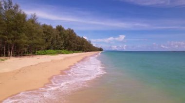 Sahilde yeşil çam ağaçları olan güzel uzun sahil manzarası. Tayland 'daki kumlu sahilde uçan bir İHA' dan çekiliyor.