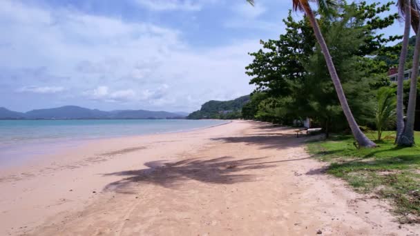 Schöne Kokospalmen Strand Von Phuket Thailand Erstaunlicher Strand Inseln Palmenblätter — Stockvideo