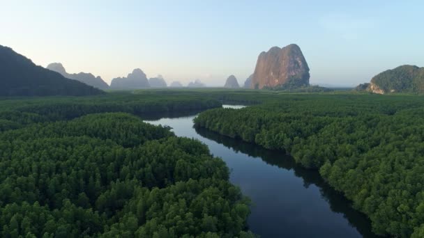 Güzel Gün Batımı Gün Doğumu Mangrove Ormanı Orman Ağaçlarının Havadan — Stok video