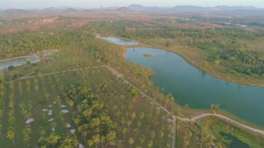 Hindistan cevizi ağaçları, gün batımında palmiye ağaçları ya da gün doğumunda gökyüzü. Tayland 'da yemyeşil ağaçlar. Yeşillik Hava Görünümü veya Üst Görünüm