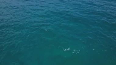 Beautiful sea summer landscape Waves sea water surface High quality video Bird's eye view