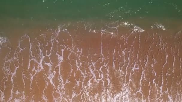 Vista Dall Alto Spiaggia Tropicale Onde Incredibili Sfondo Del Mare — Video Stock