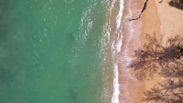 Vista Dall Alto Spiaggia Tropicale Onde Incredibili Sfondo Del Mare — Video Stock