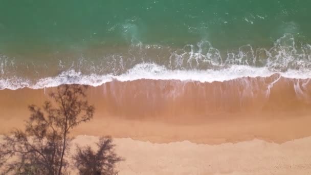 Vista Superior Praia Tropical Ondas Surpreendentes Fundo Mar — Vídeo de Stock