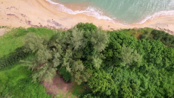 Top View Tropical Beach Amazing Waves Sea Background — Αρχείο Βίντεο