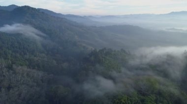İnsansız hava aracı görüntüsü sis veya sis denizi üzerinde uçuyor. Yüksek açı Dinamik hava görüntüsü. Doğanın muhteşem manzarası.