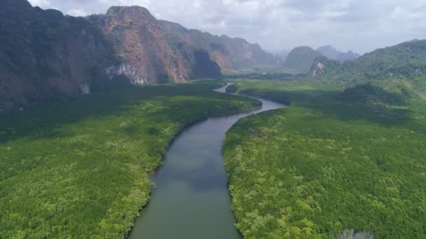Erstaunlich Reichlich Mangrovenwald Luftaufnahme Der Waldbäume Regenwald Ökosystem Und Gesunde — Stockvideo