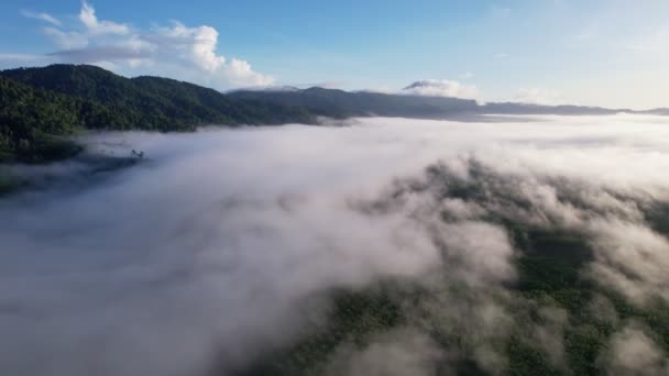 Drone Uitzicht Vliegen Zee Van Mist Mist Landschap Hoge Hoek — Stockvideo