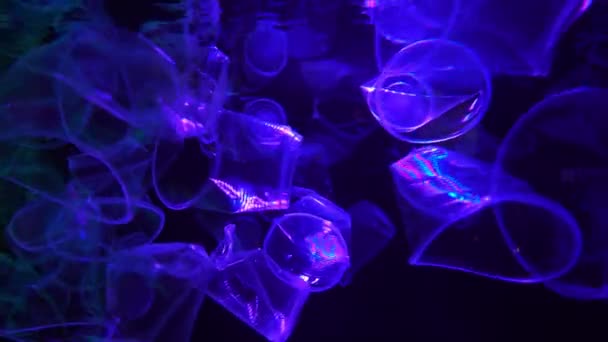 Plastikowe Puchar Zanieczyszczenia Powoli Dryfuje Pod Wodą Niebieskiej Wodzie Plastikowe — Wideo stockowe