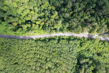 Aerial view Curve Road in the forest green summer trees Drone camera top down view Amazing landscape High angle view Green background