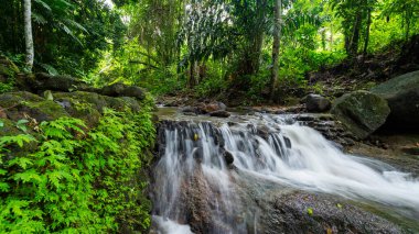 Waterfall in Abundant Clear Stream in the forest Small waterfall river with crystal clear water morning light nature background
