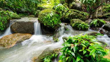 Waterfall in Abundant Clear Stream in the forest Small waterfall river with crystal clear water morning light nature background