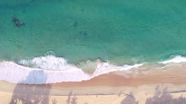 Top View Tropical Beach Amazing Waves Sea Background Crashing Waves — Video Stock