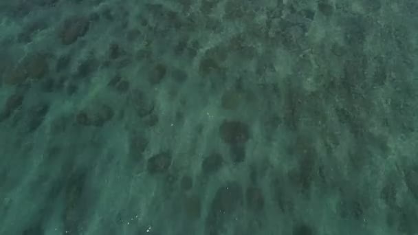 Beautiful Sea Background Summer Landscape Waves Sea Water Surface High — Video