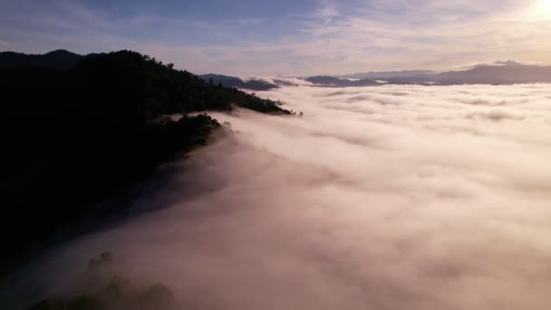 High Angle View Drone View Fog Rainy Season Mountains Beautiful — Wideo stockowe
