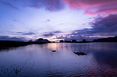Güzel okyanus manzarası sabah sisinin altında gökyüzüne karşı. Gün doğumu dronu denizin ve mangrov ormanının üzerinde uçuyor. Mangrov manzarası yüksek açı.