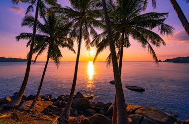 Gün batımında hindistan cevizi palmiyesi ağaçları ya da gün doğumunda deniz üzerinde gökyüzü inanılmaz hafif doğa rengarenk manzara güzel aydınlık gökyüzü ve bulutlar