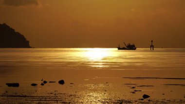 Denizde güzel bir gün doğumu, deniz yüzeyinde inanılmaz altın bir gün doğumu, sabah manzarası denizdeki aldatıcı kuşlarla
