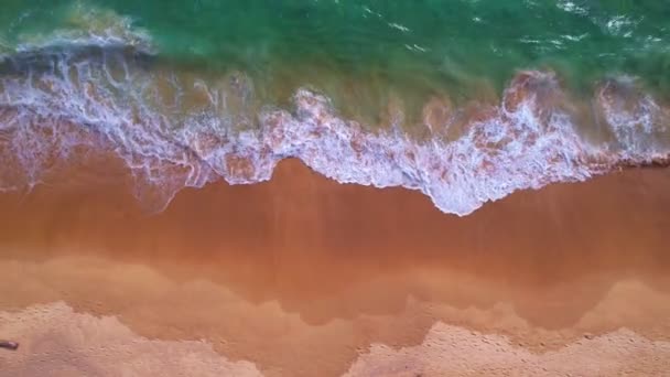 Top View Tropikalna Plaża Morze Niesamowite Fale Tło Morskie Wypadające — Wideo stockowe