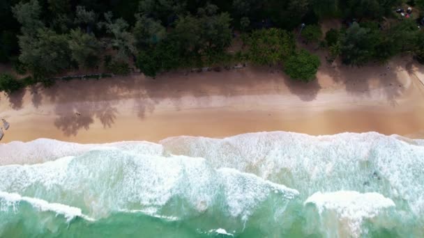 Top Pohled Tropické Pláže Moře Amazing Vlny Moře Pozadí Crashing — Stock video