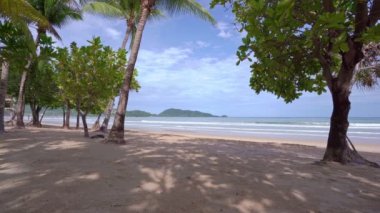 Phuket Tayland sahilindeki güzel hindistan cevizi palmiyeleri okyanustaki Phuket Adaları Palmiyeleri. Sahilde palmiyeler var. Gün batımında gökyüzü inanılmaz aydınlık. Yaz manzarası arka planı.